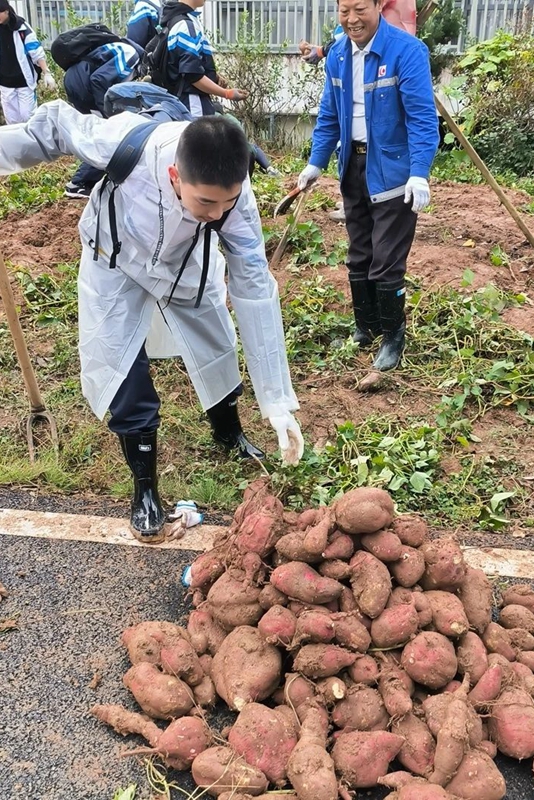 管家婆正版管家婆今天的